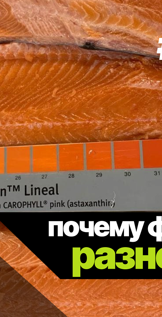  Почему цвет форели бывает разным и от чего он зависит?