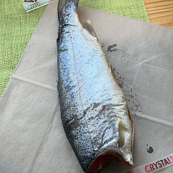 Форель тушка х/к