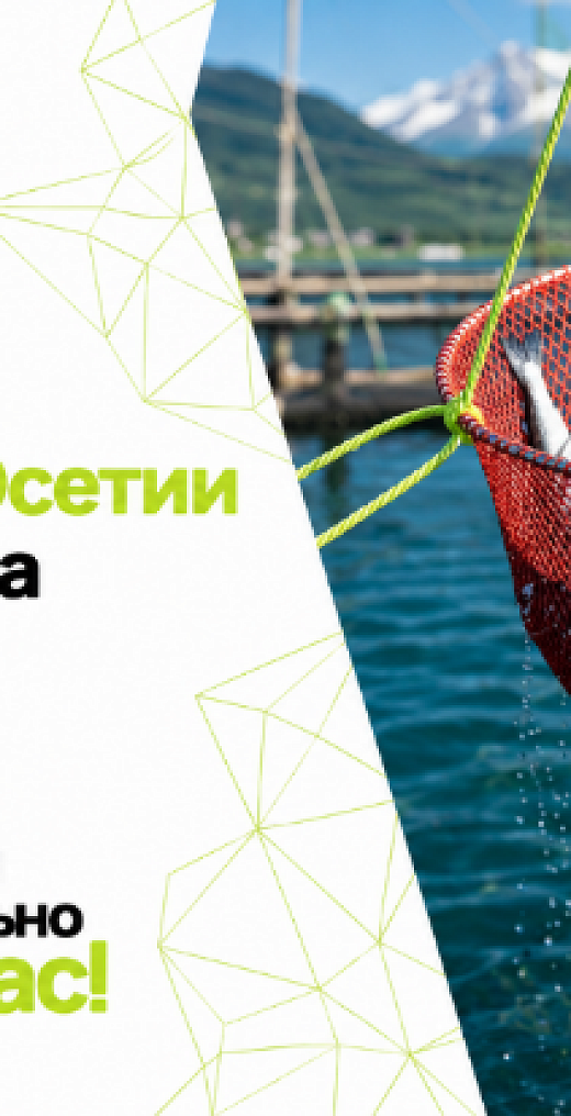 Путь нашей форели: от горных рек Осетии до вашего стола