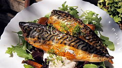 Скумбрия свежемороженая