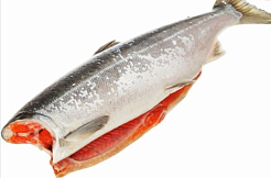 Кета без головы, с/м